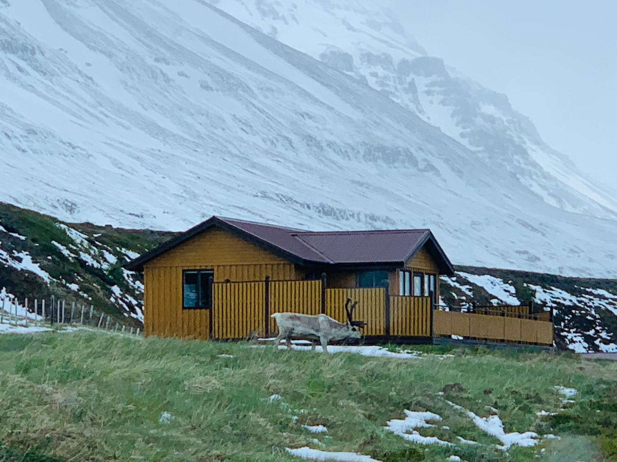 Langahlid Cottages & Hot Tubs Seyðisfjörður Exterior foto